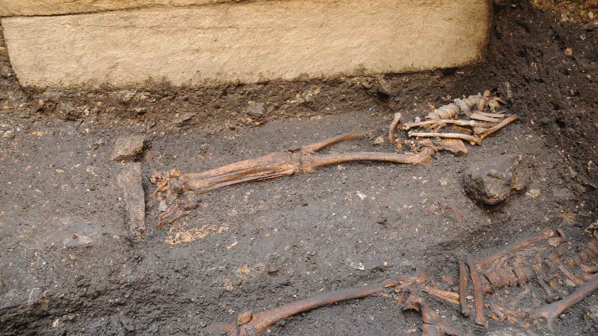 Skeletons found during the excavation