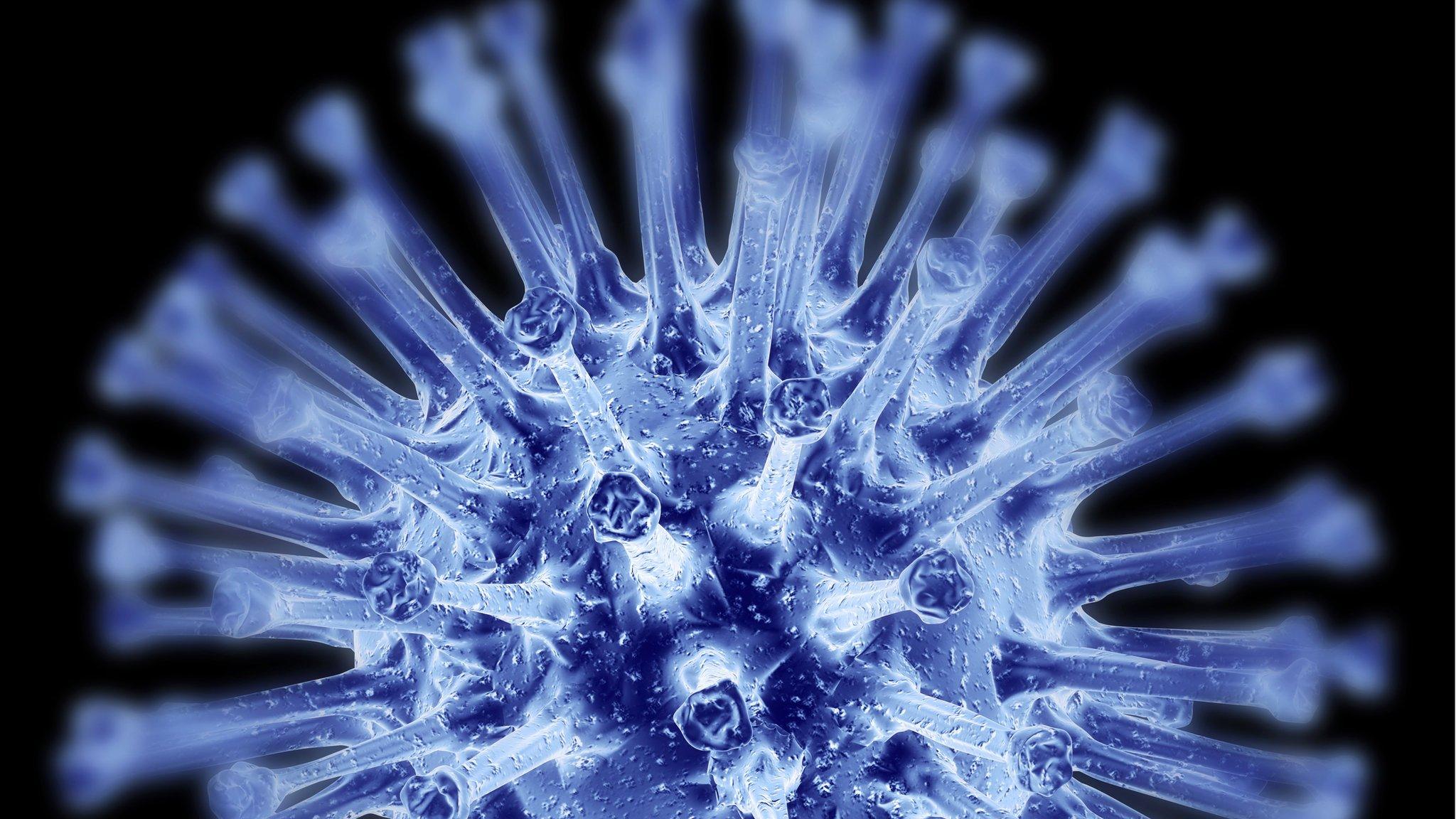 Flu virus
