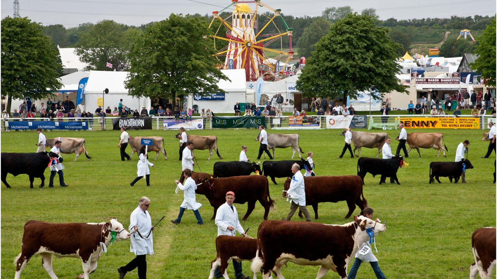 Royal Bath and West Show