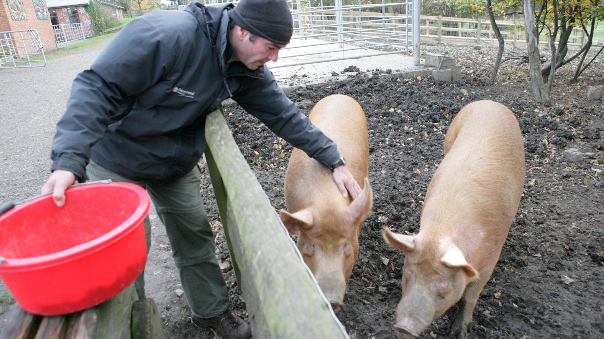 Bill Quay Community Farm