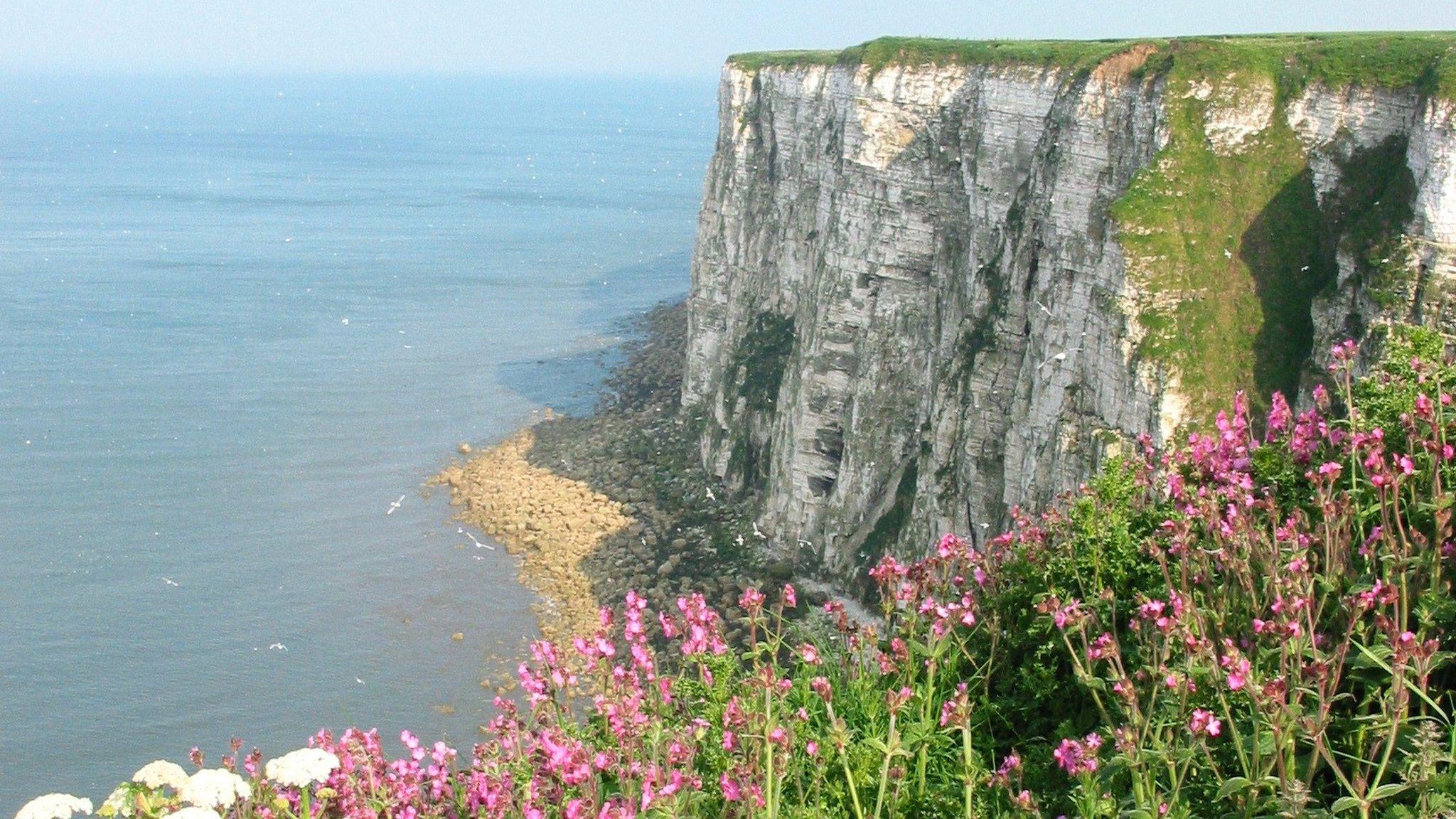 Bempton Cliffs