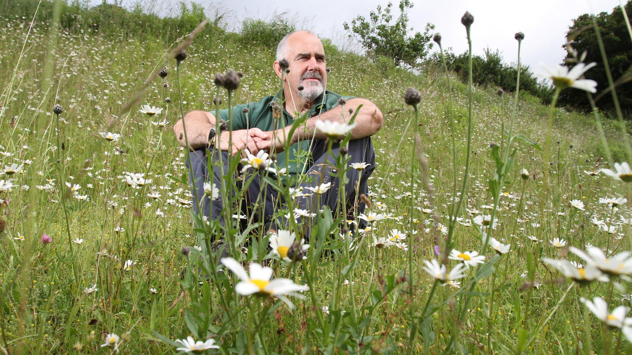 Jim Mathison, Green Spaces manager, in the meadow at Stroud Cemetery.