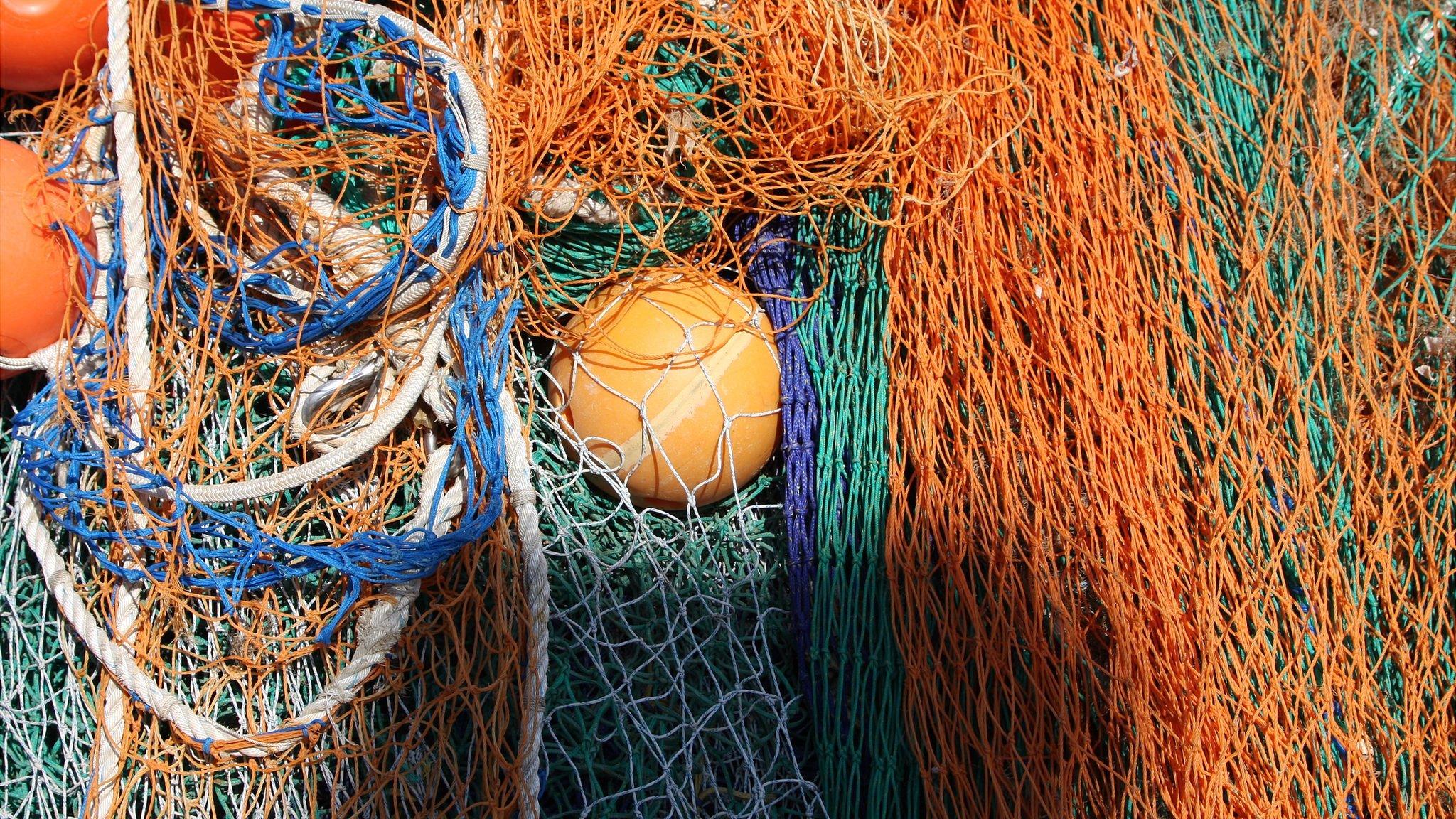 Fishing nets