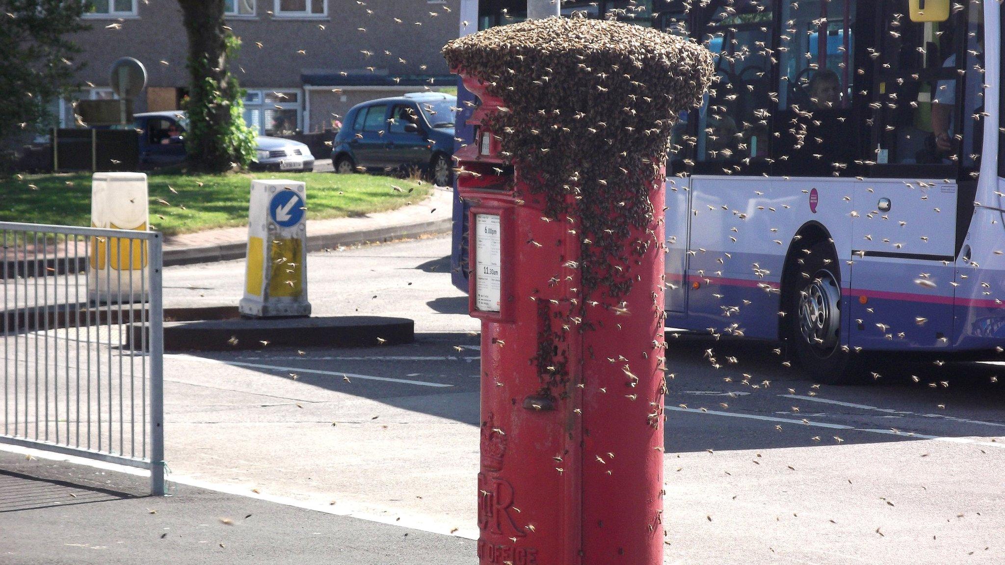 Post box covered in bees