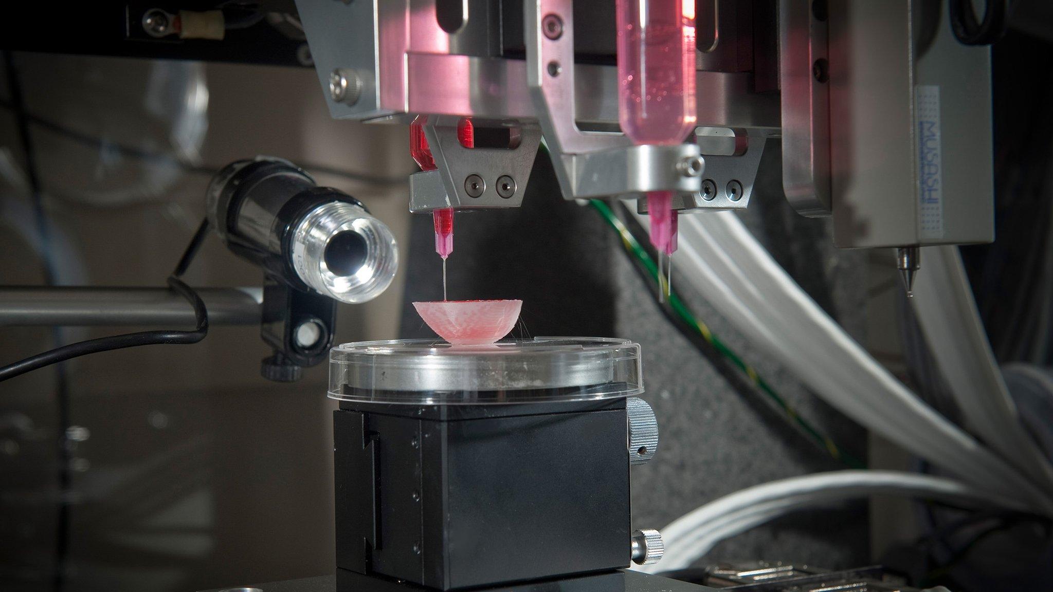 A kidney structure being printed by the 3-D printer