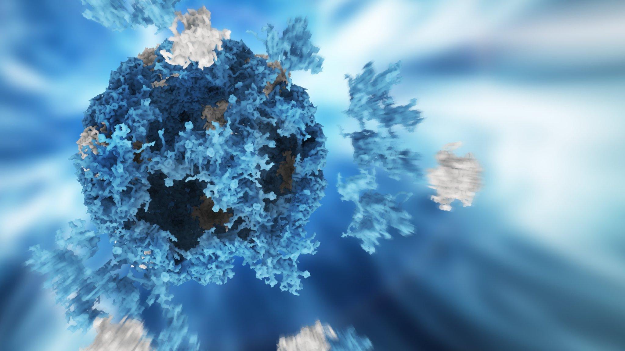 HPV