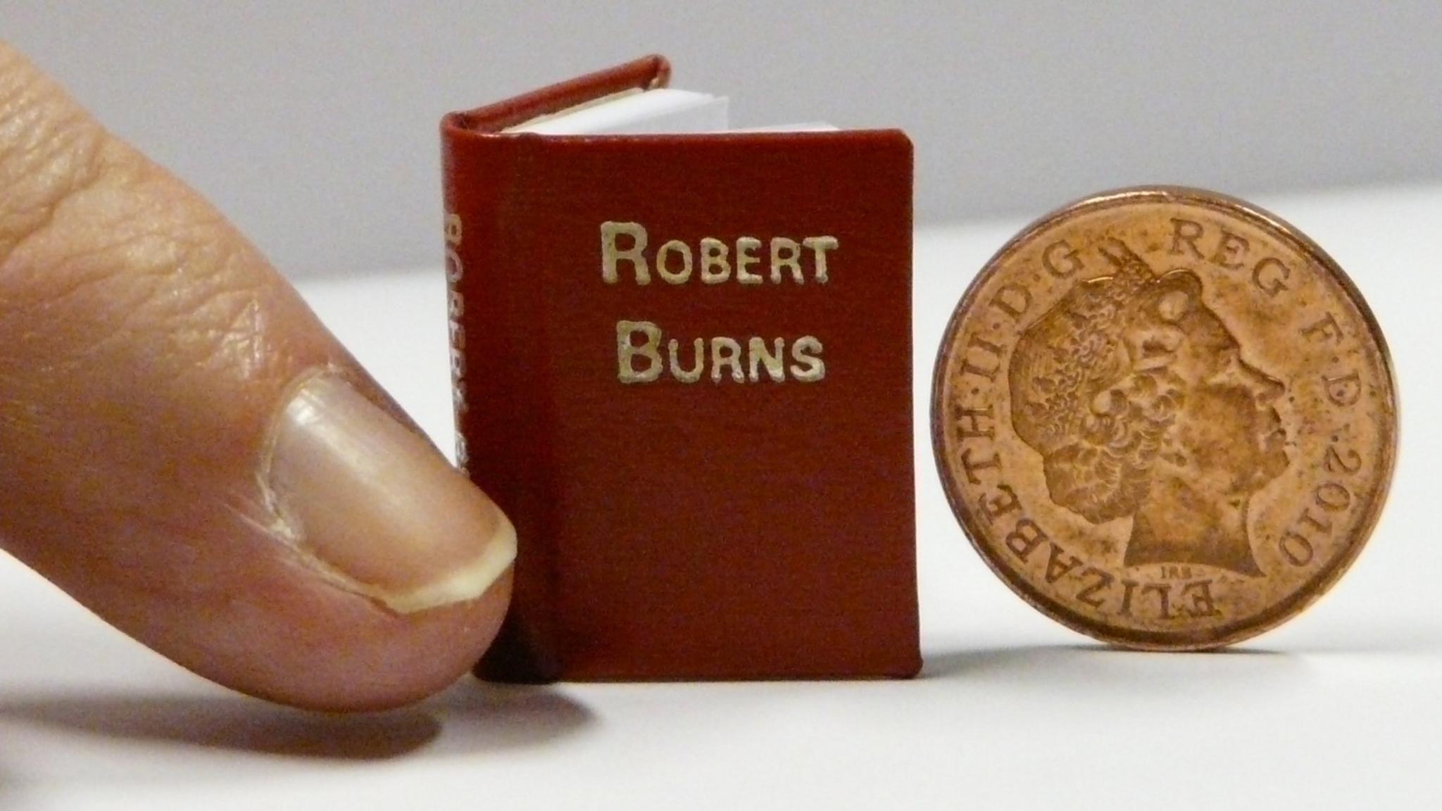 A book next to a penny. The book is only slightly larger than the penny.