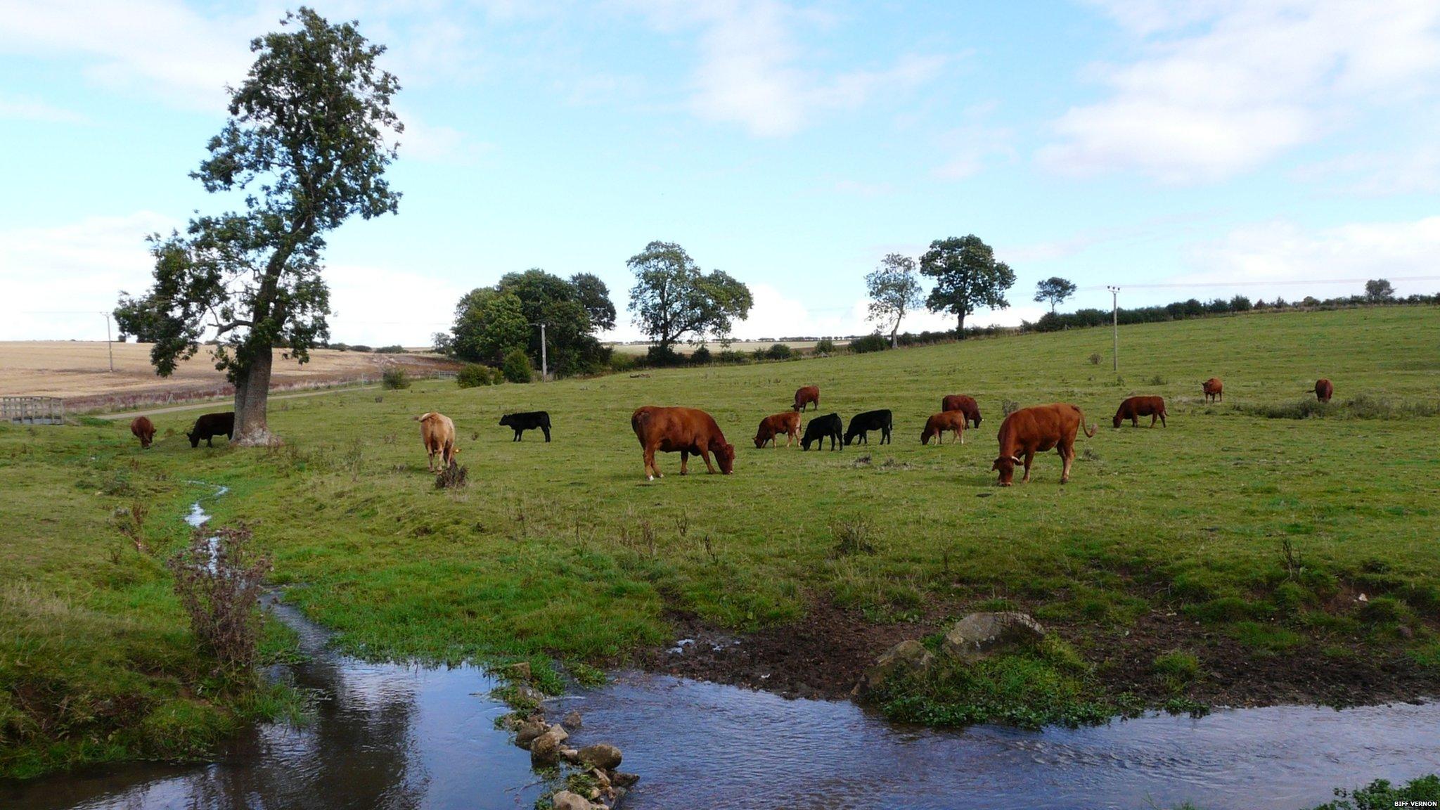 Biscathorpe field close to where the drilling will take place