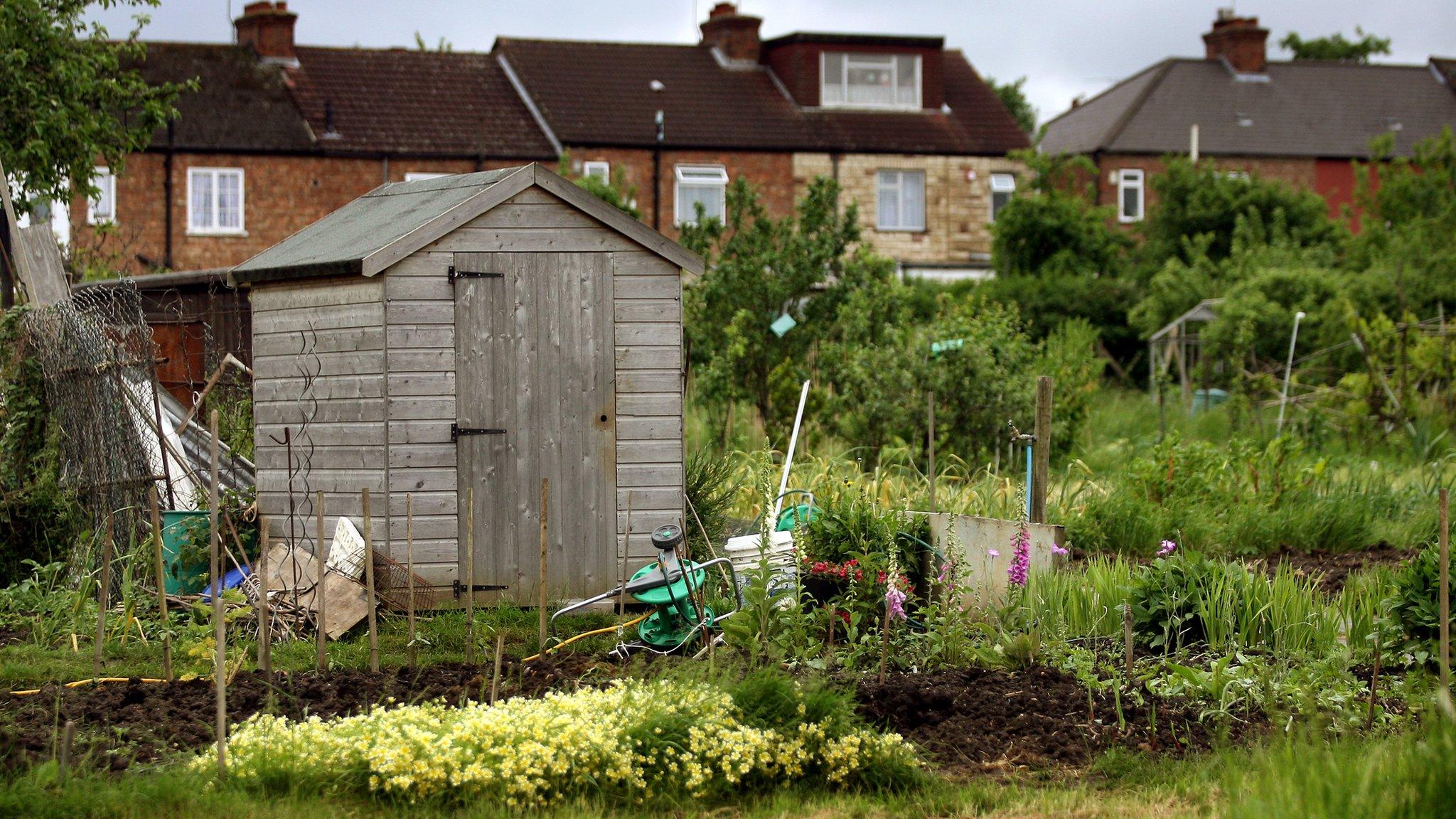 Allotment