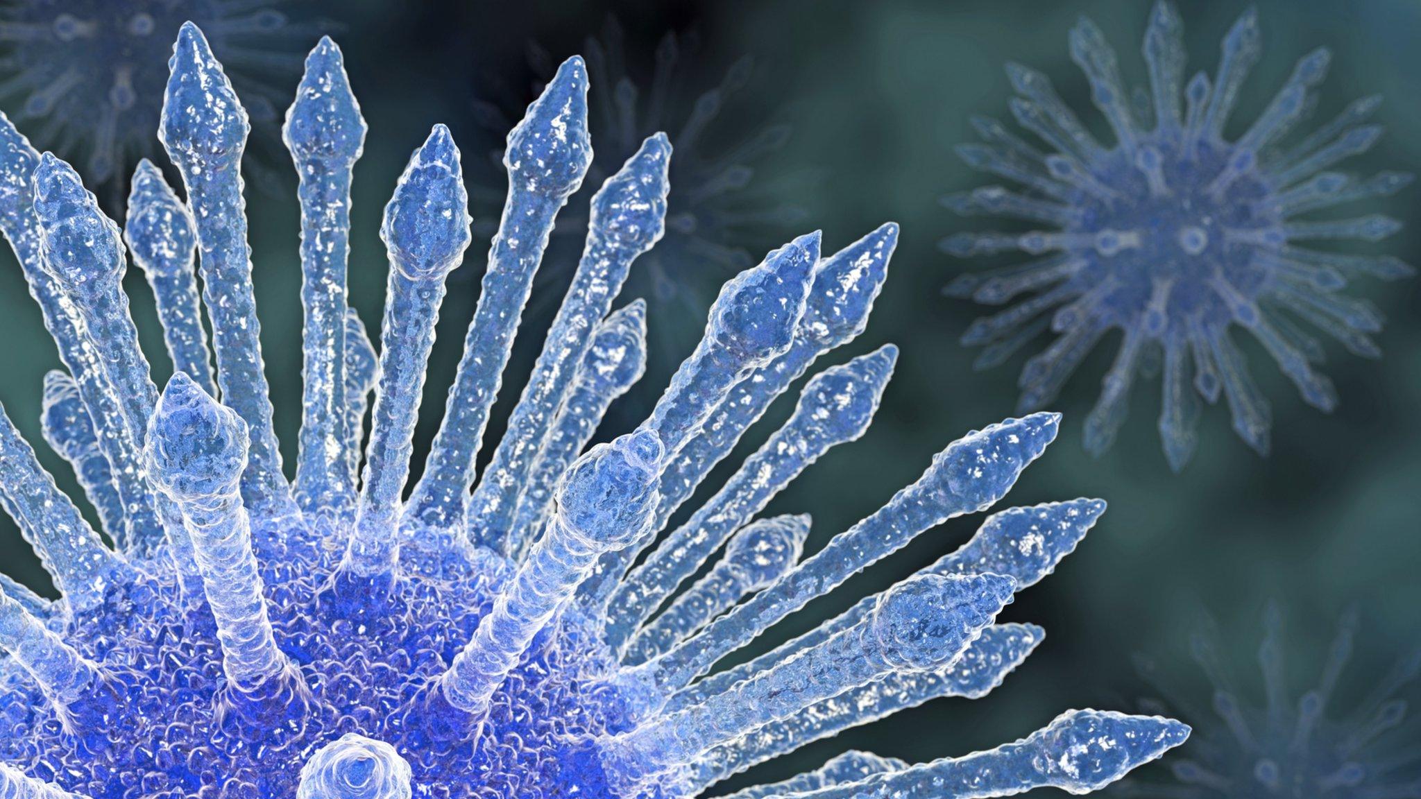HIV virus