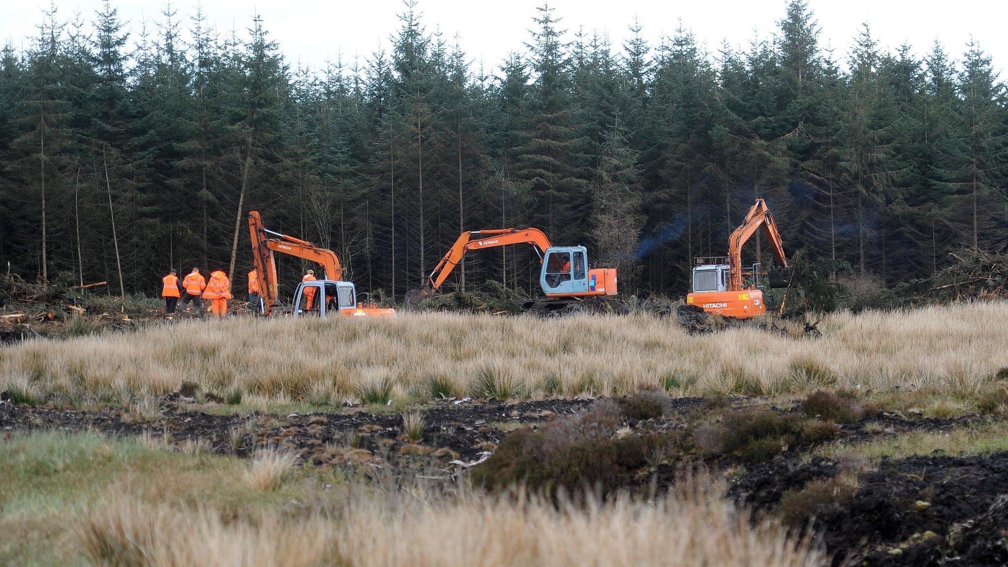 Search for body of Columba McVeigh