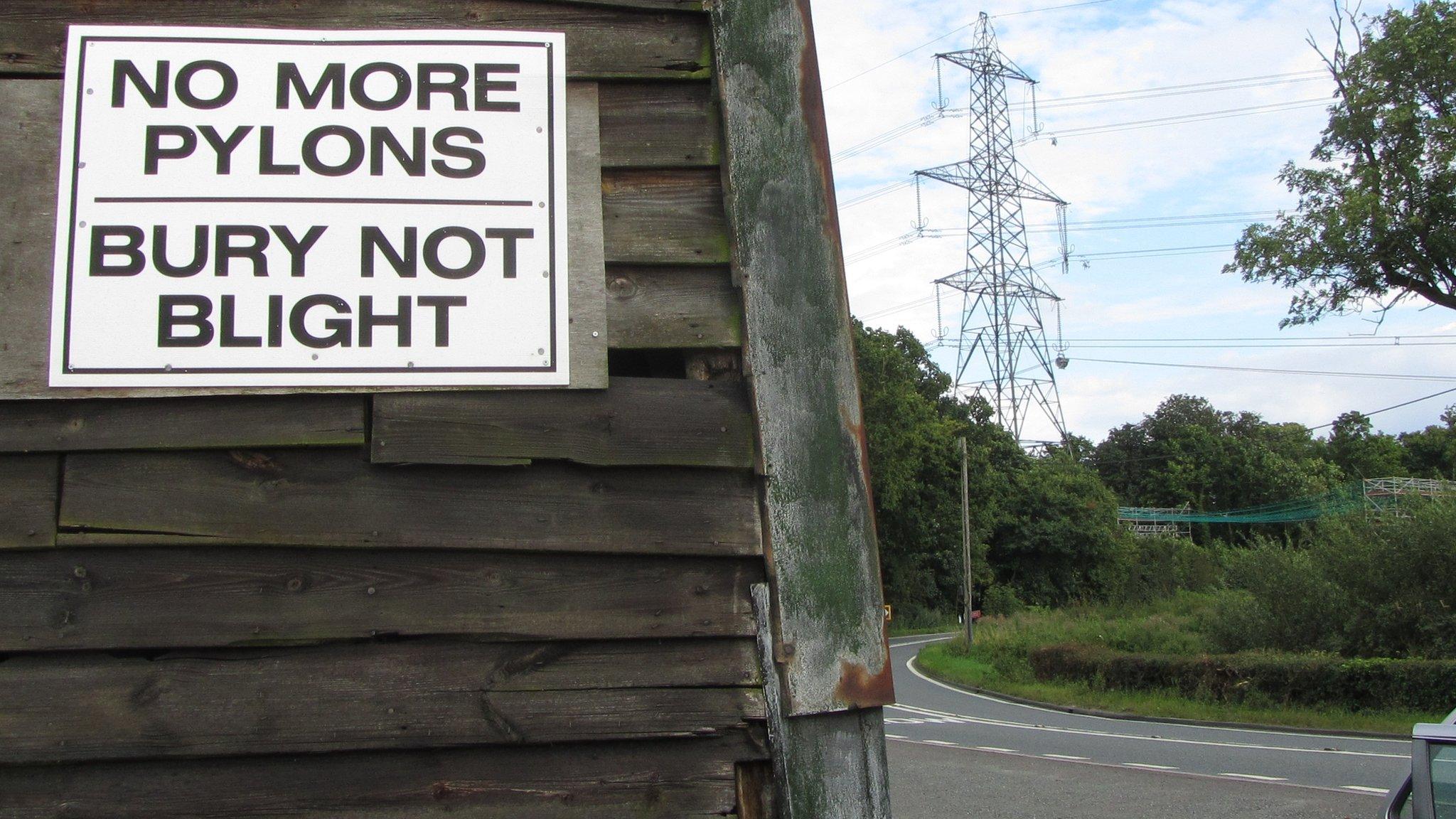 Pylon, south Suffolk