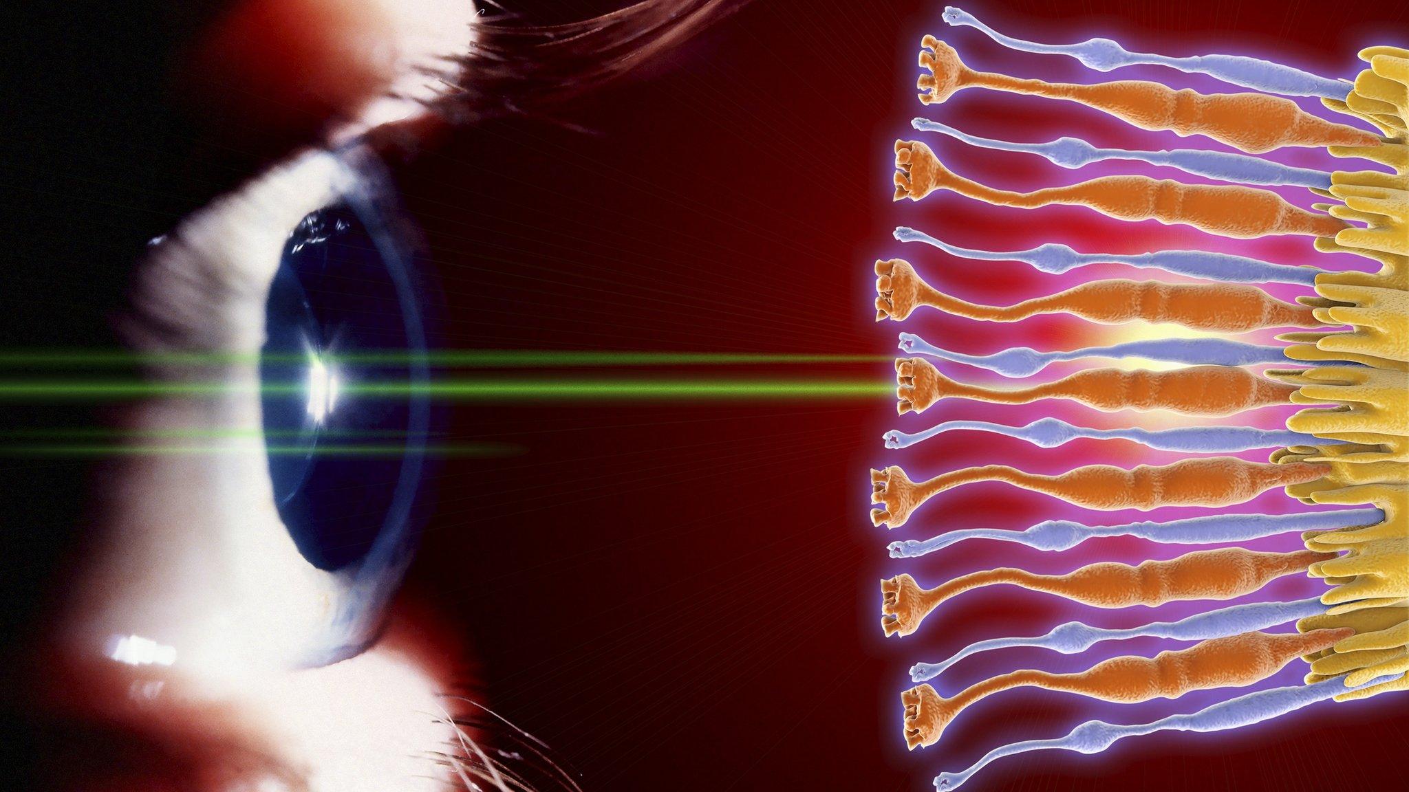 human eye