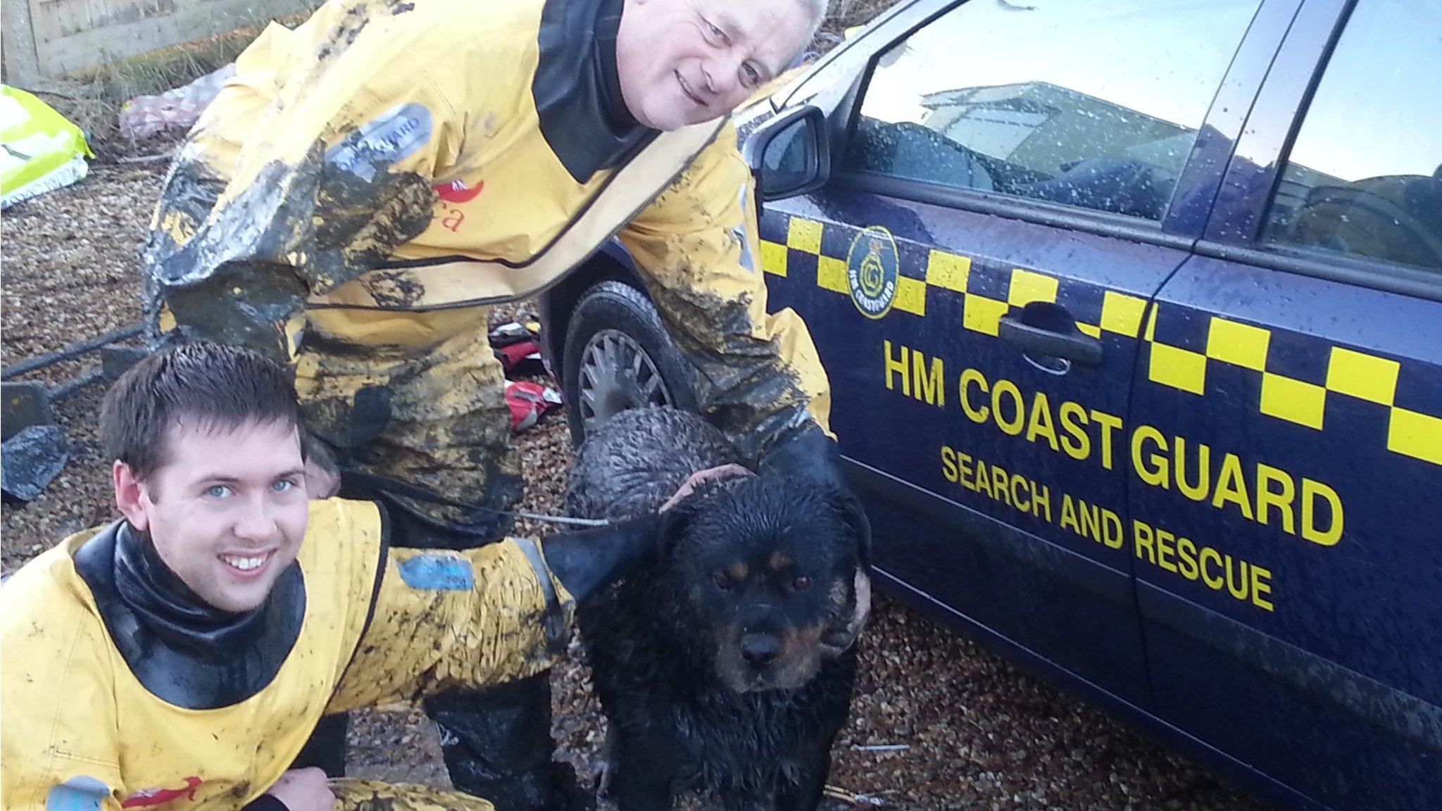 Buddy with rescuers Roly Warmington (back) and Alex Benfield