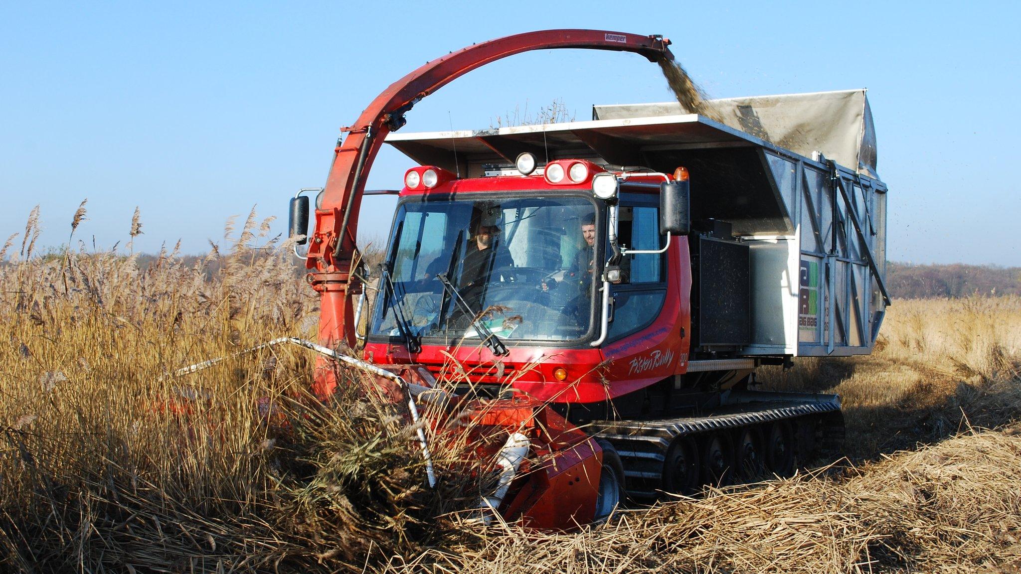 Mechanical reed cutter at RSPB Minsmere