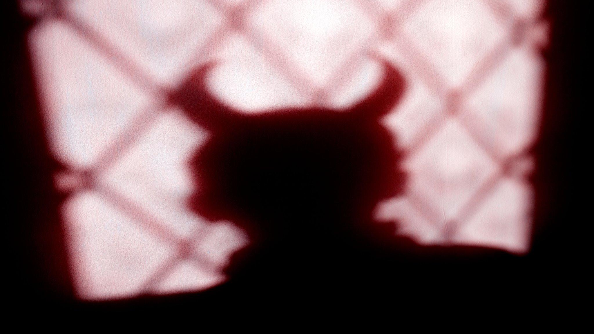 Shadow with horns - generic