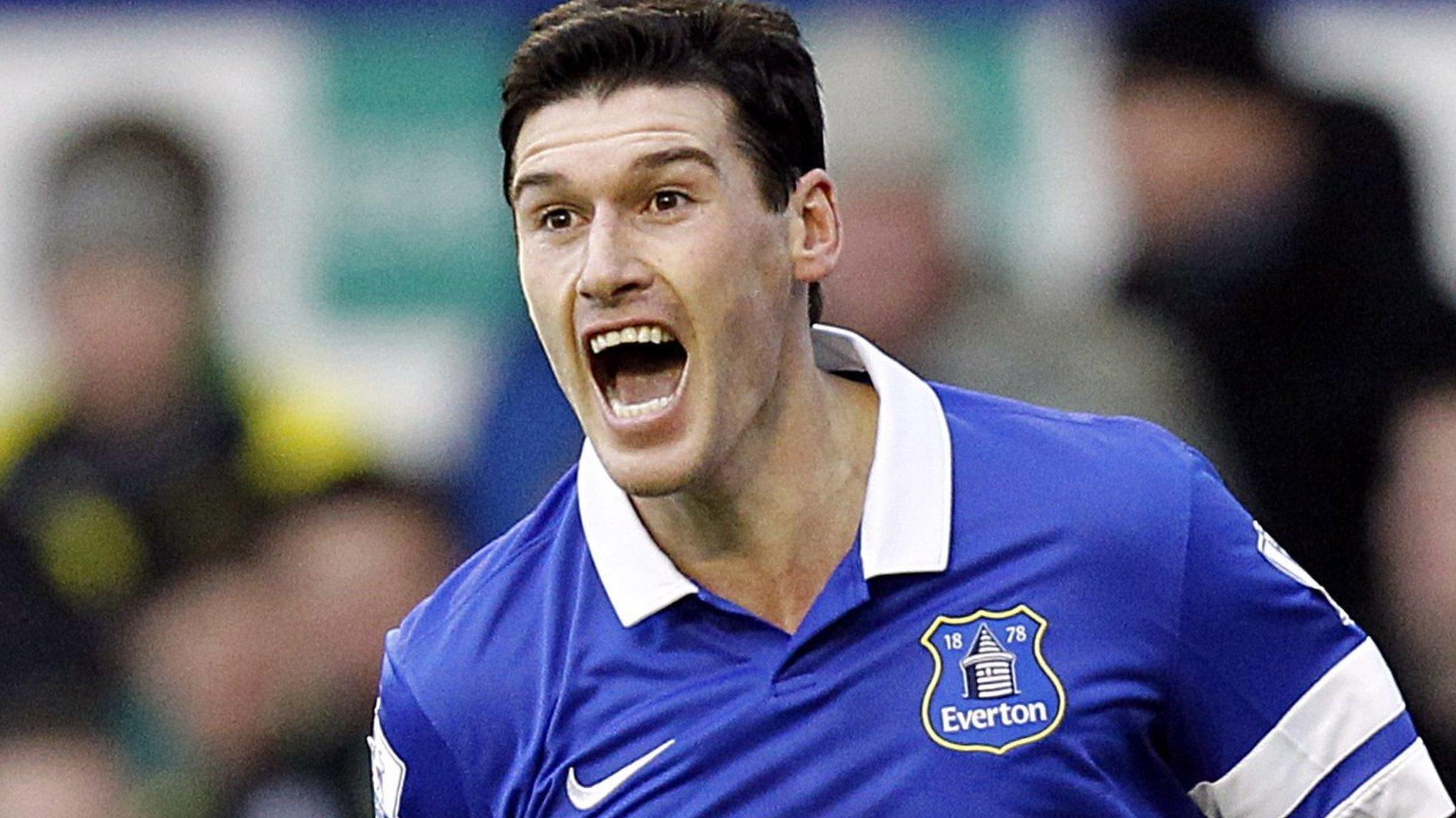 Gareth Barry has impressed for Everton during his season-long loan from Manchester City