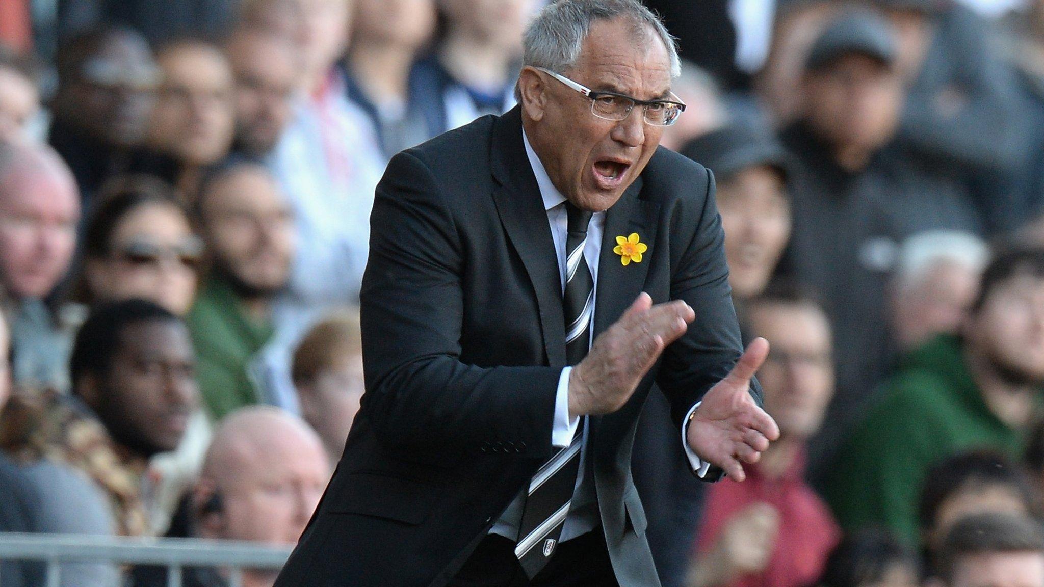 Fulham boss Felix Magath