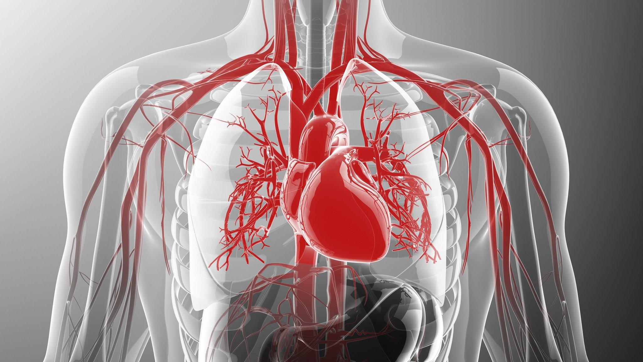 heart