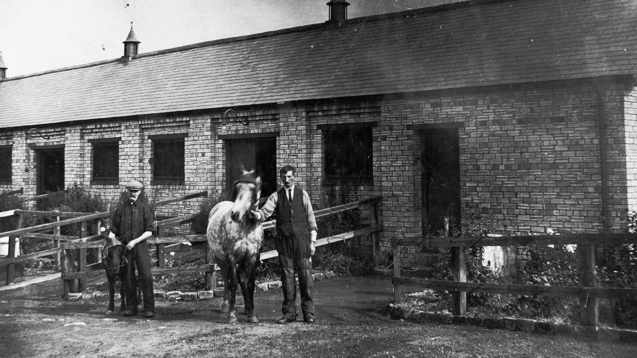 Victoria Garesfield stables