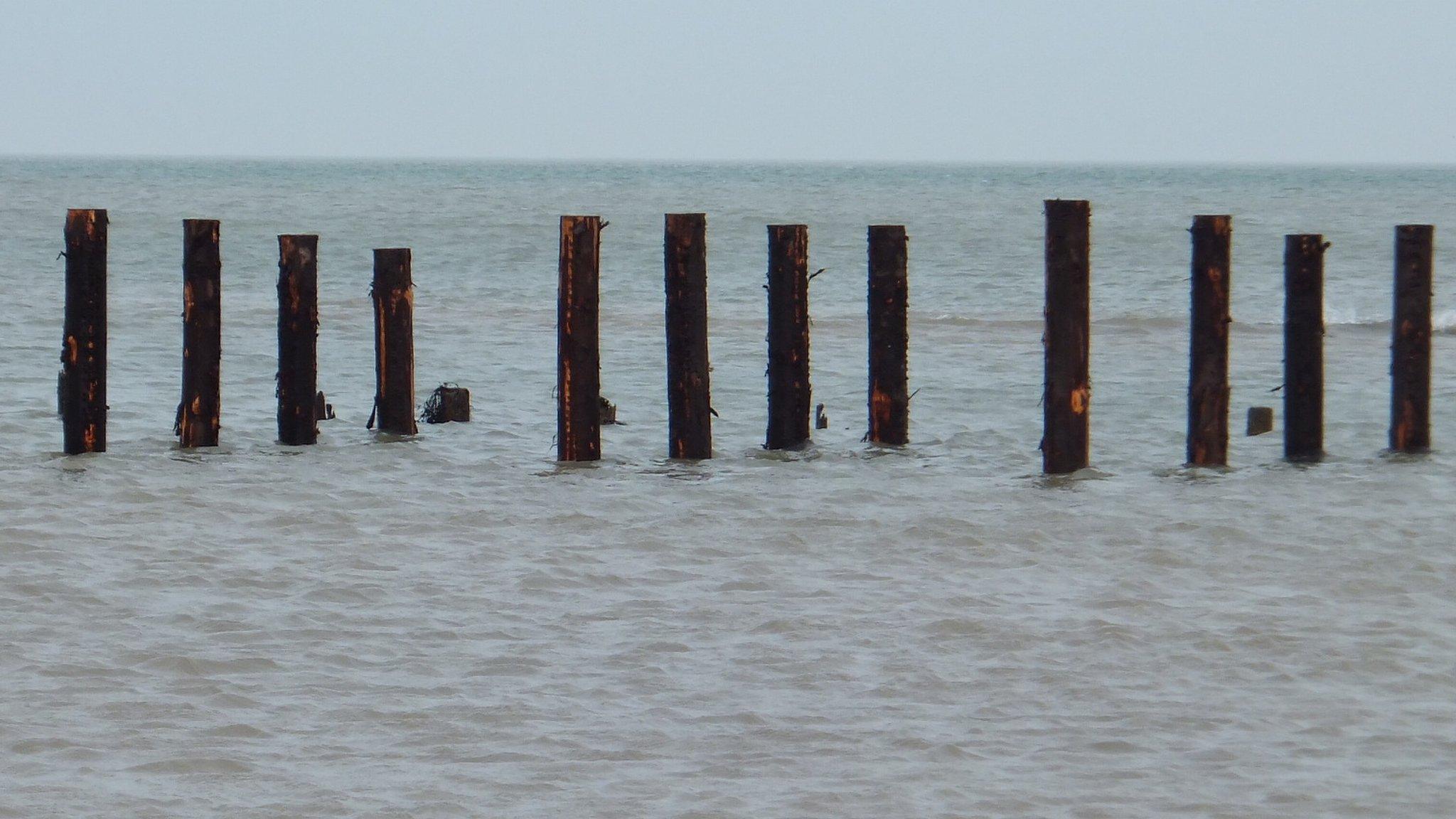 Oyster poles in place in the sea