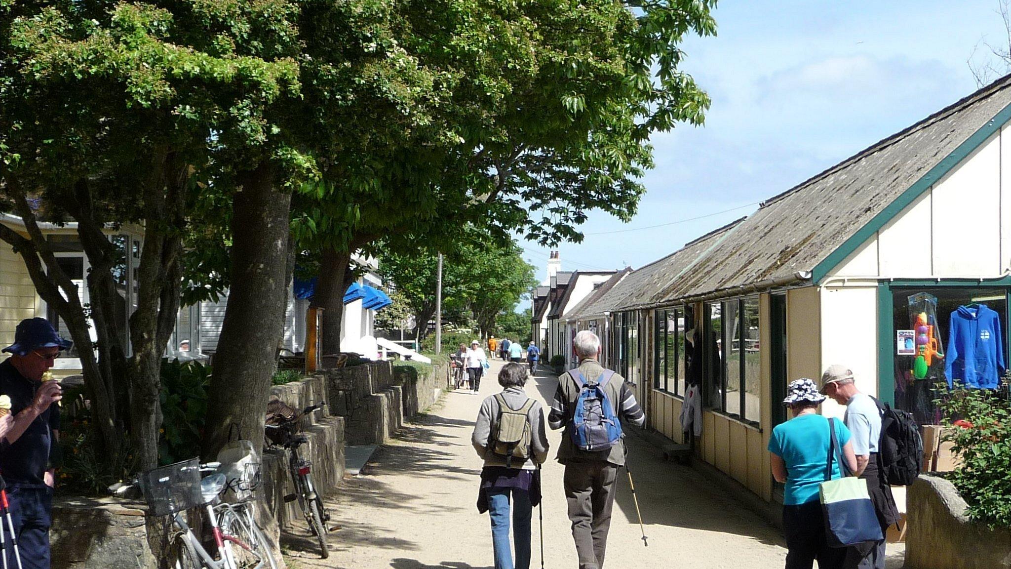 The Avenue in Sark