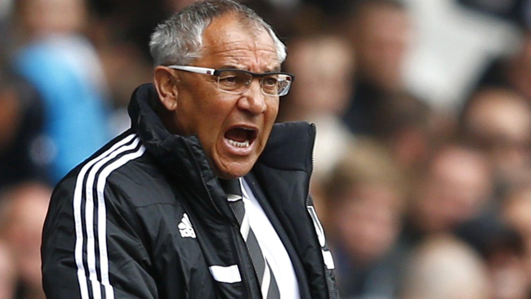 Fulham manager Felix Magath