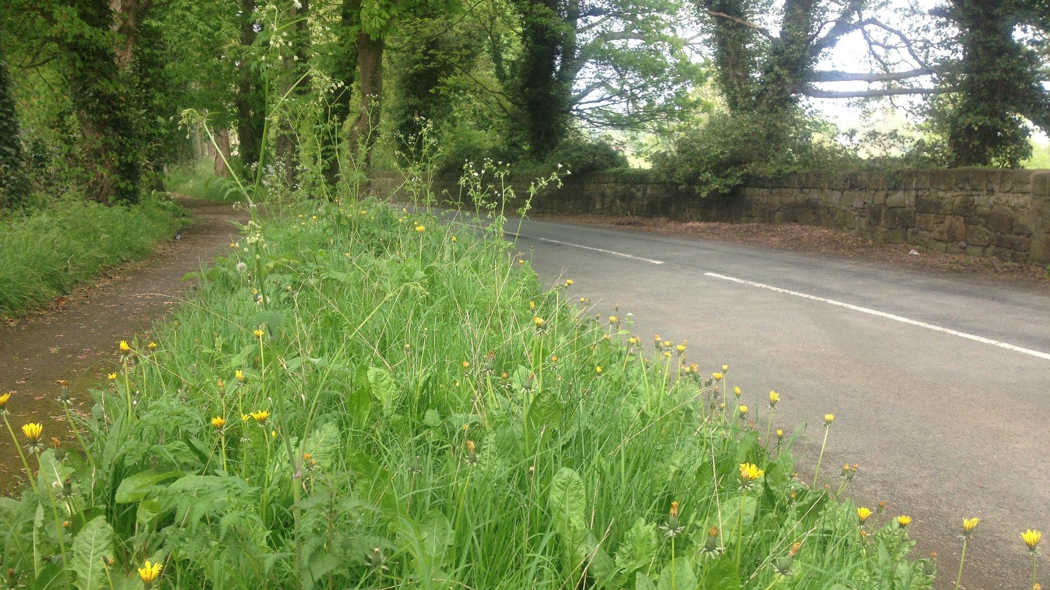 A roadside grass verge and footpath in Wrexham