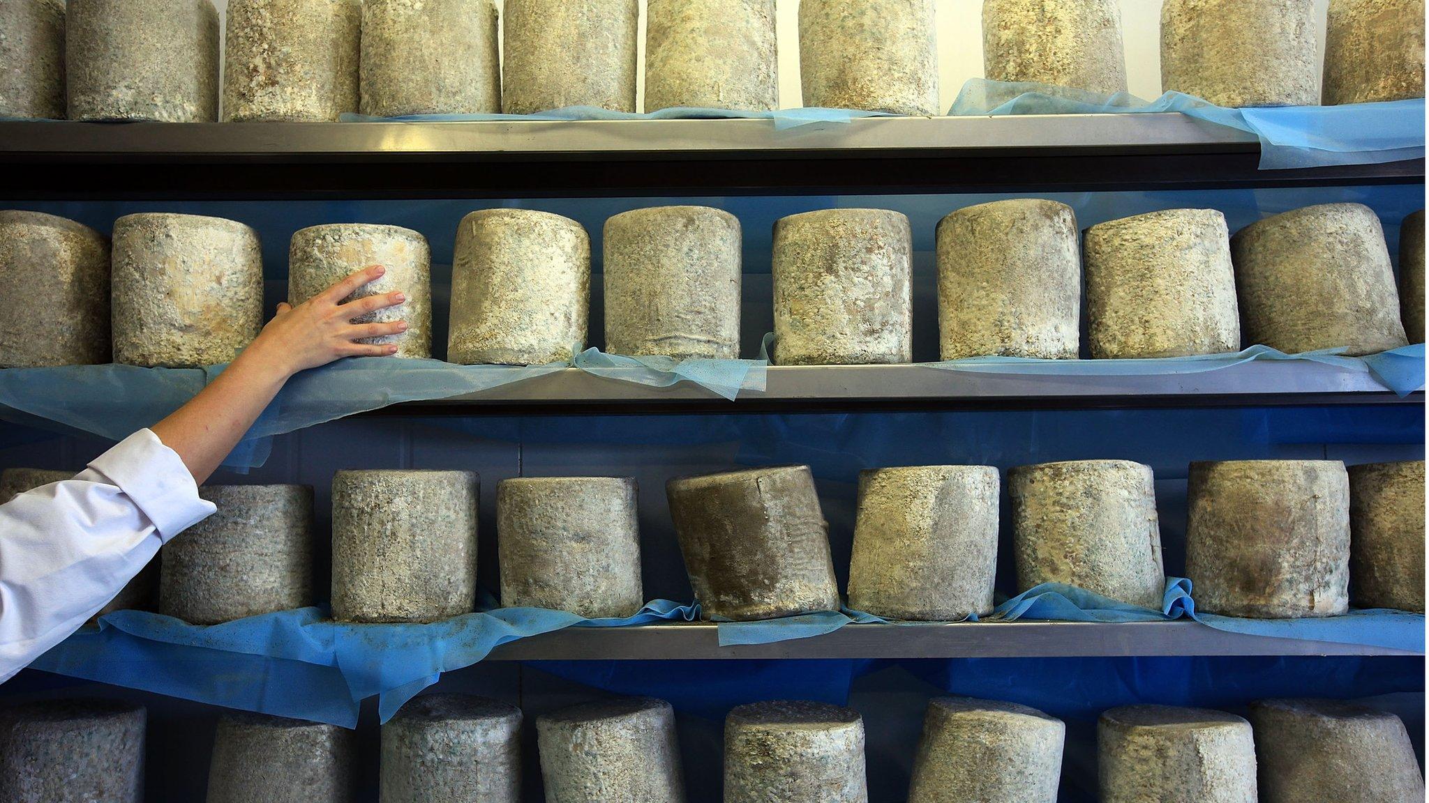 Britain exports more than 11 tonnes of cheese to China annually