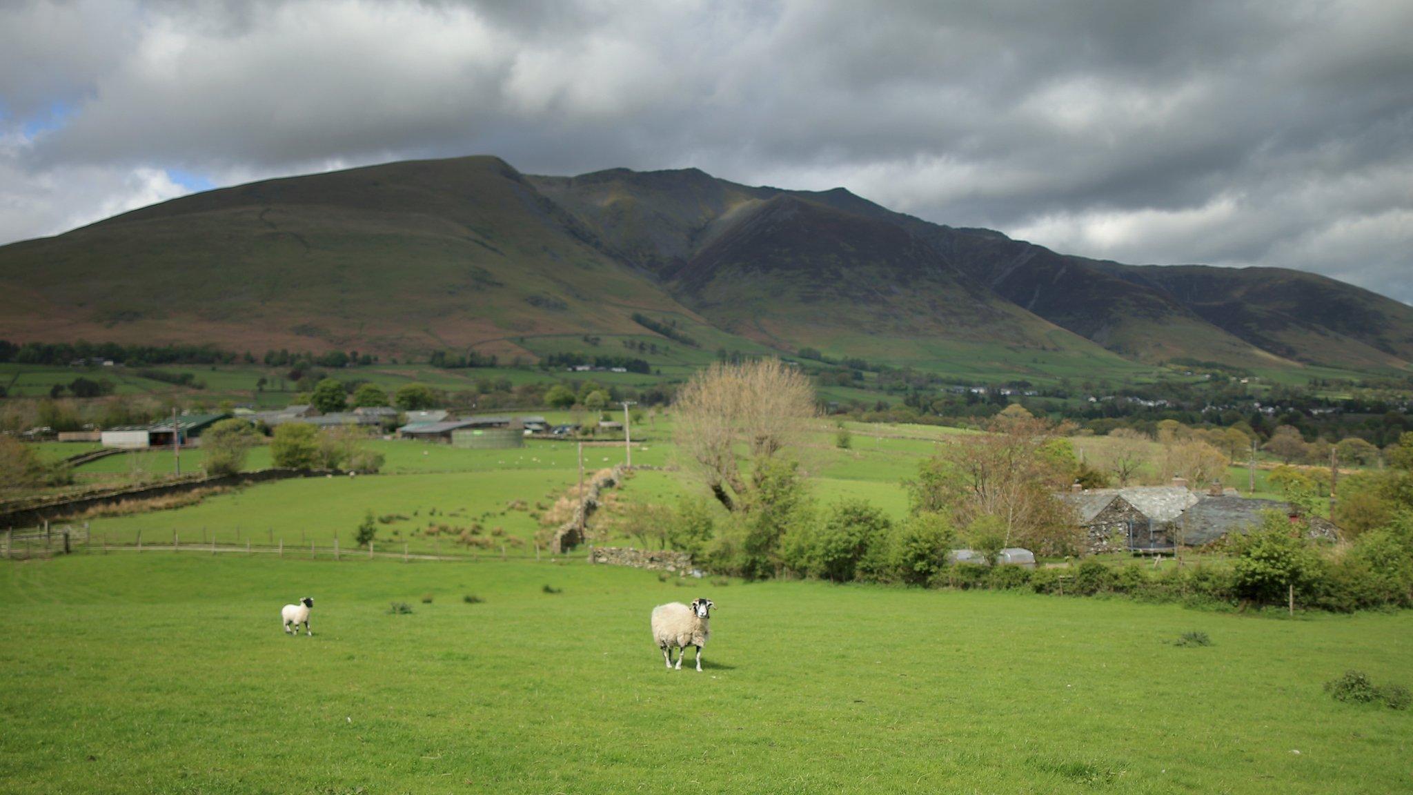 Blencathra/Saddleback