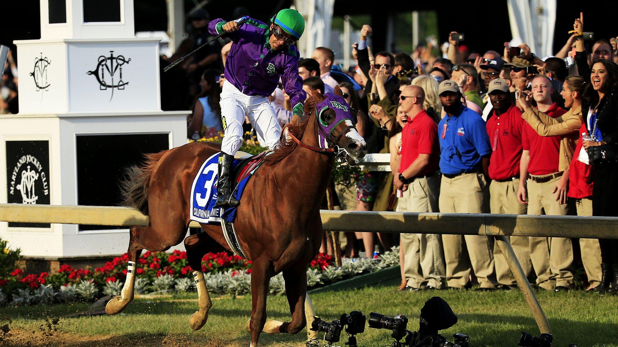 California Chrome