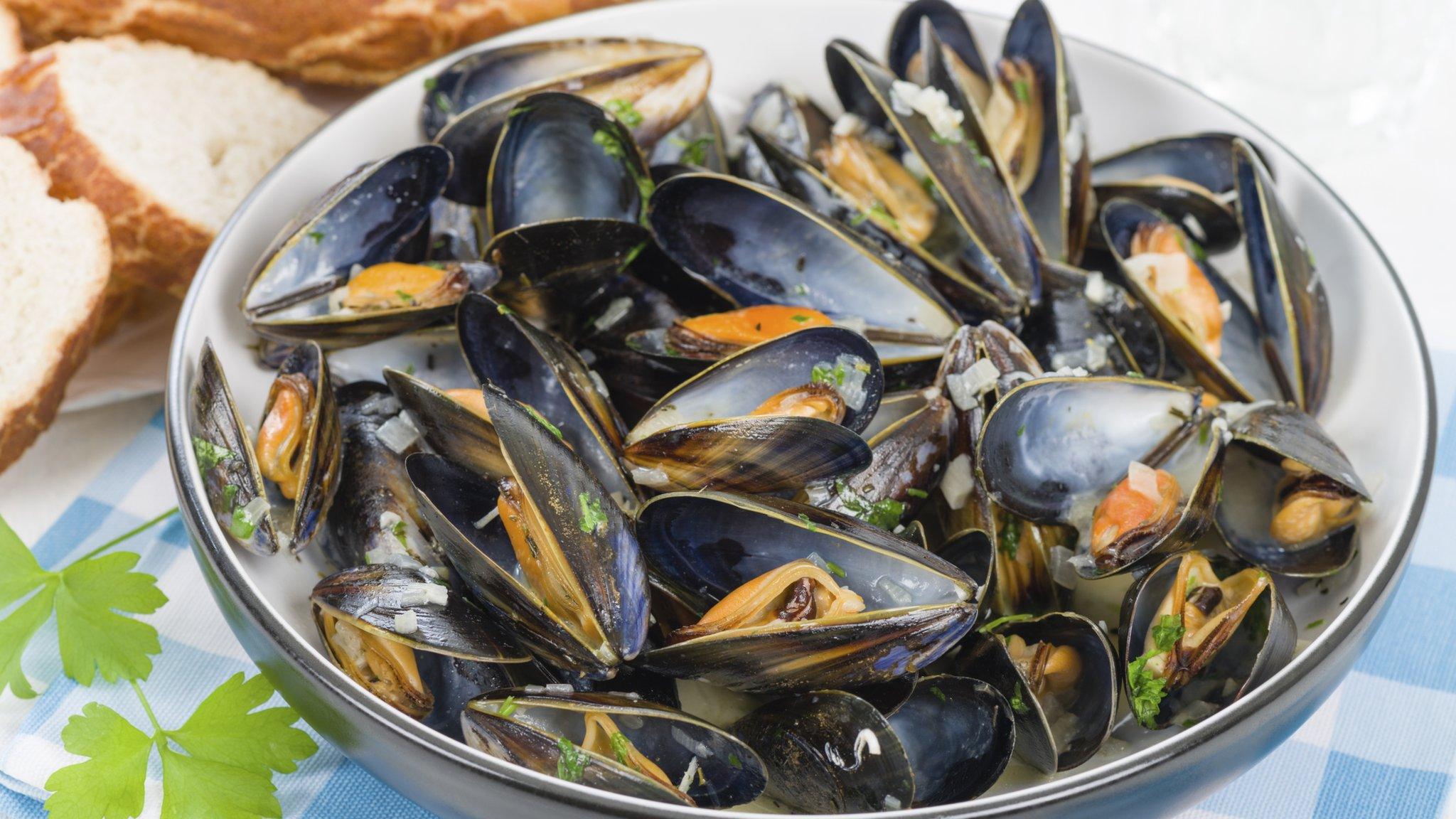 Plate of mussels