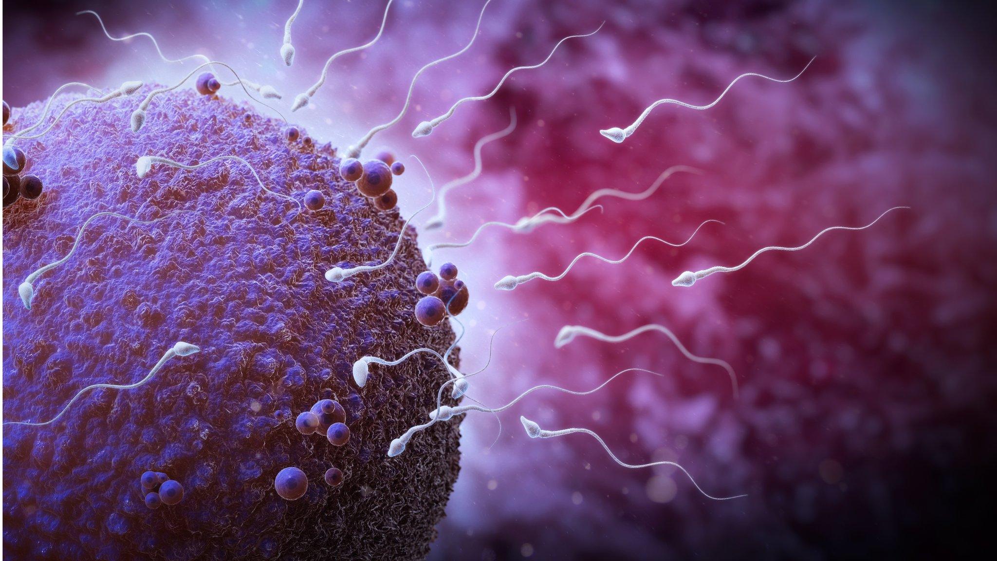 Sperm
