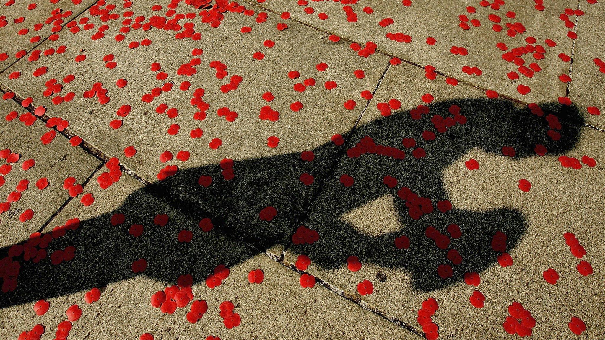 Shadow of a soldier on poppies