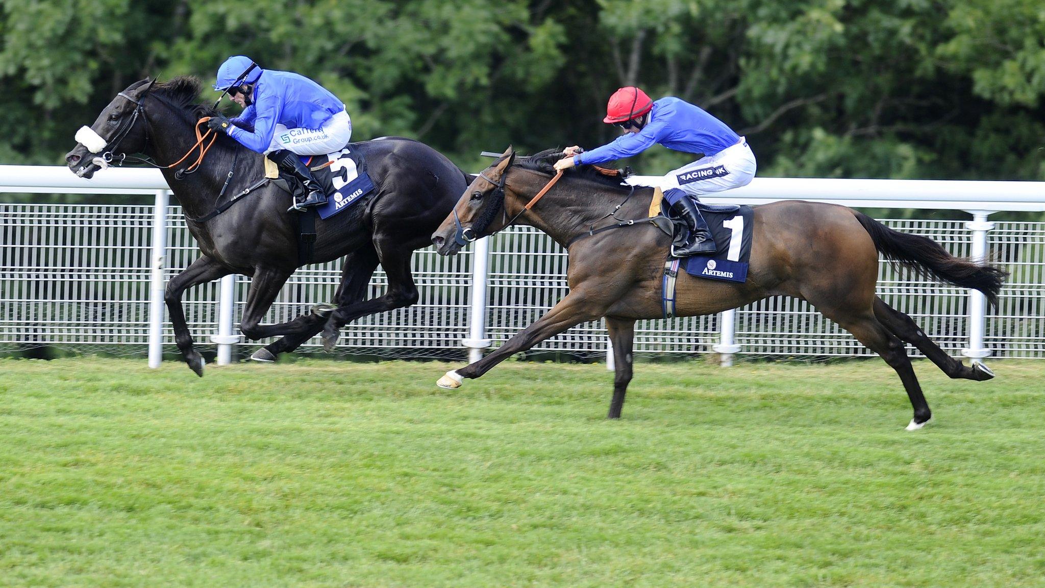 Cavalryman and Ahzeemah in the Goodwood Cup