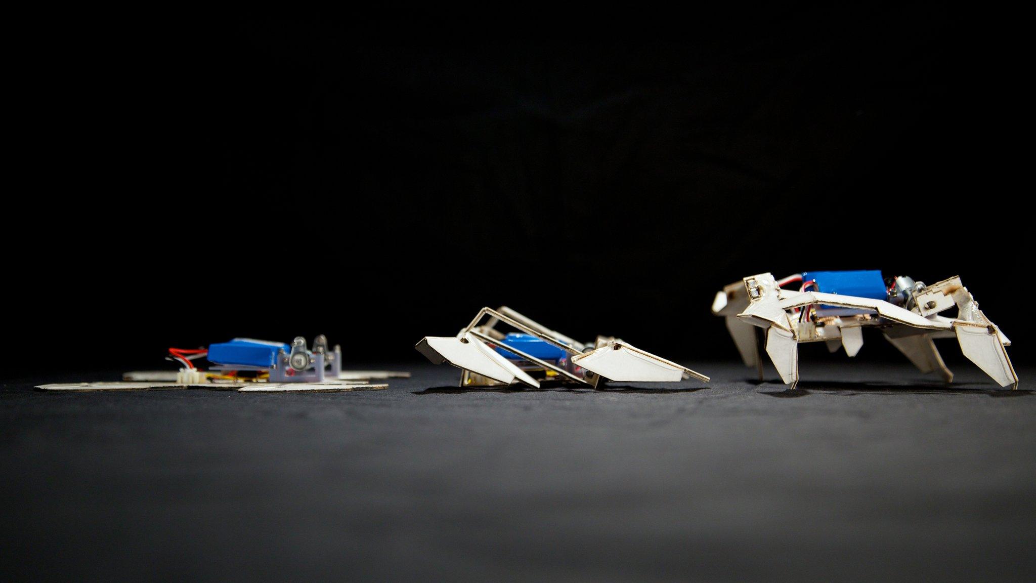 Self-folding robots