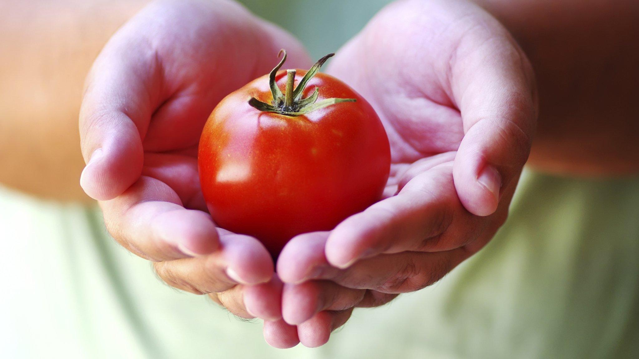 Tomatoes are rich in the anti-oxidant lycopene