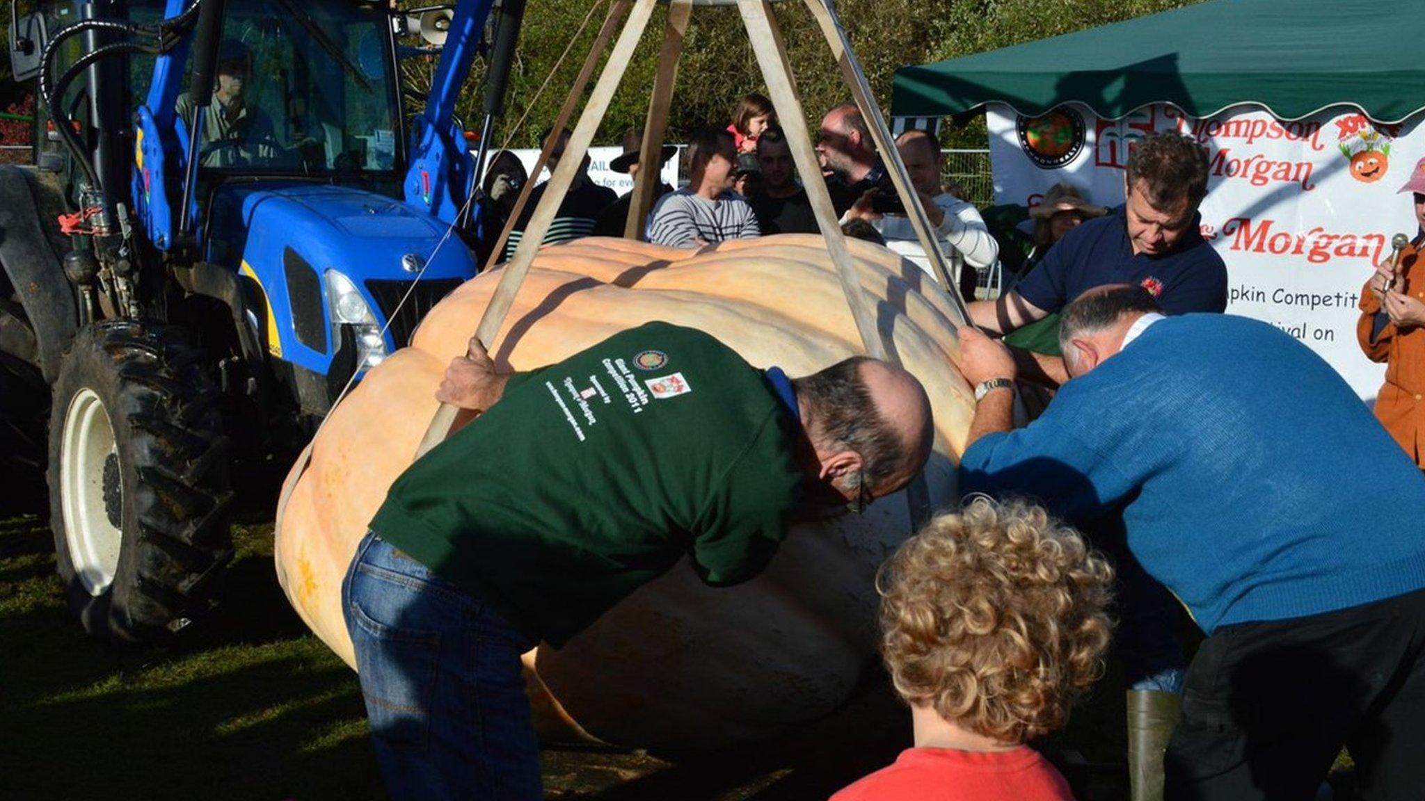 Netley Pumpkin Festival 2014