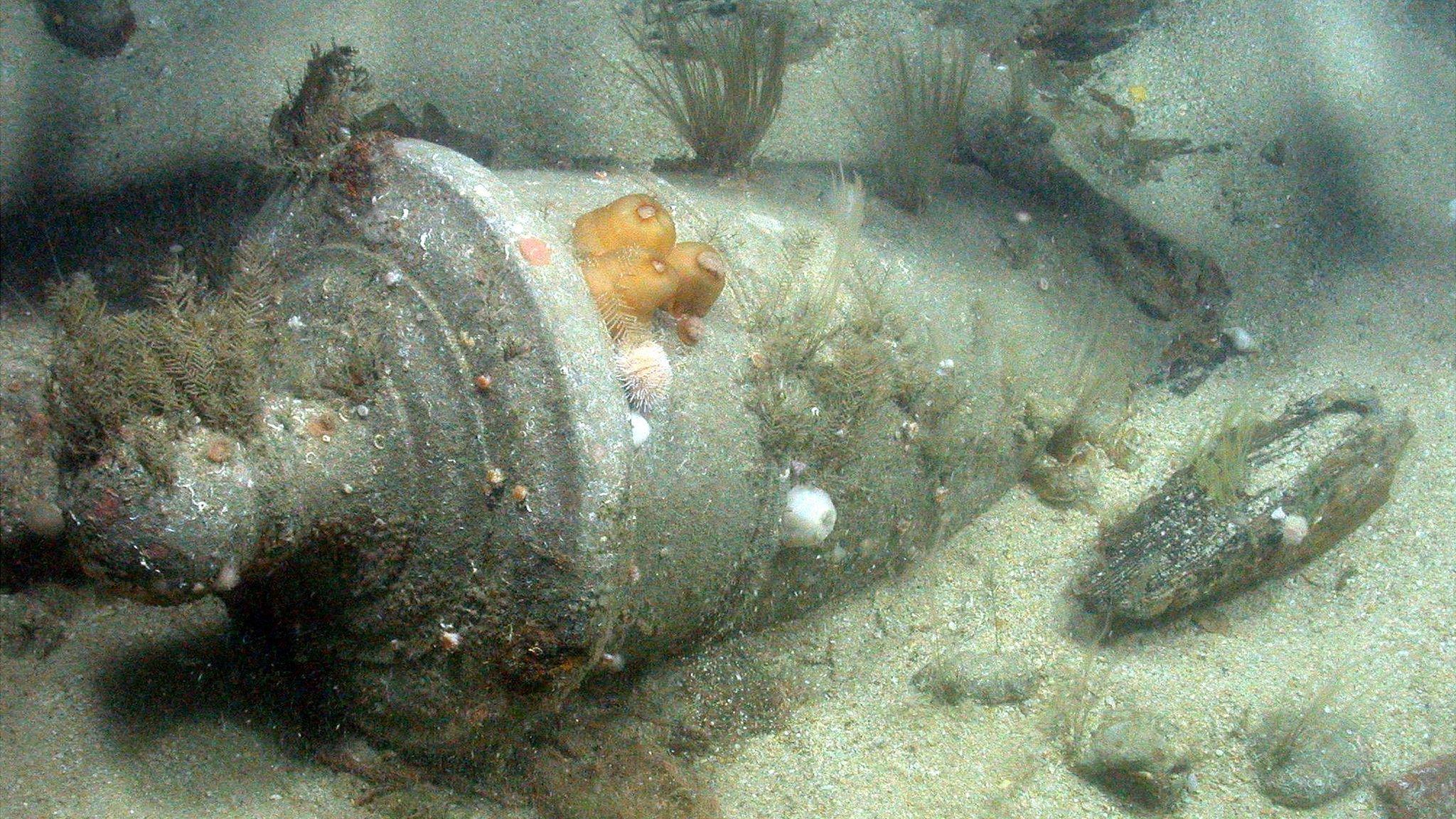 Shipwreck of HMS Victory 1744: Bronze Cannon in seabed