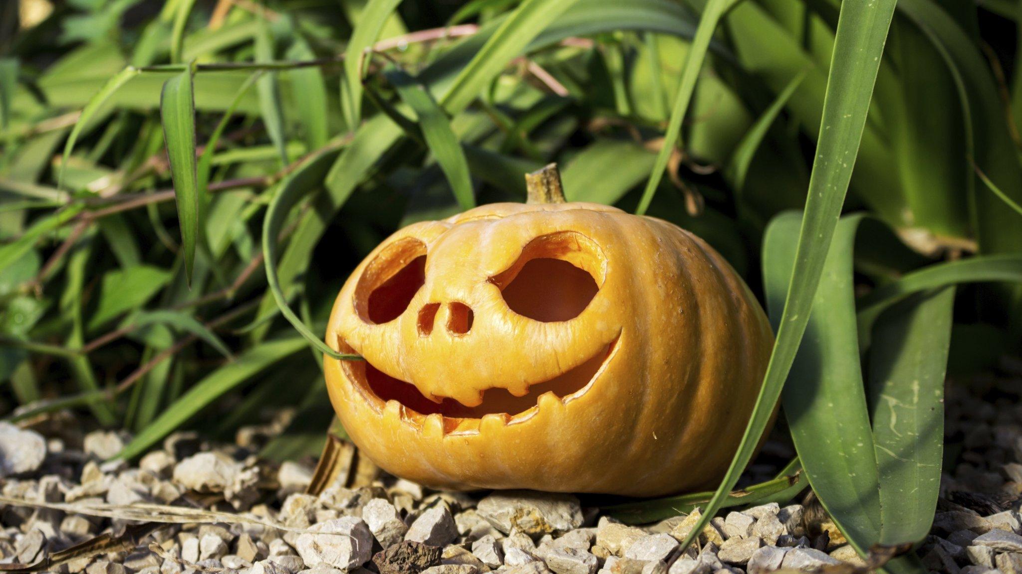 Modern Halloween pumpkin