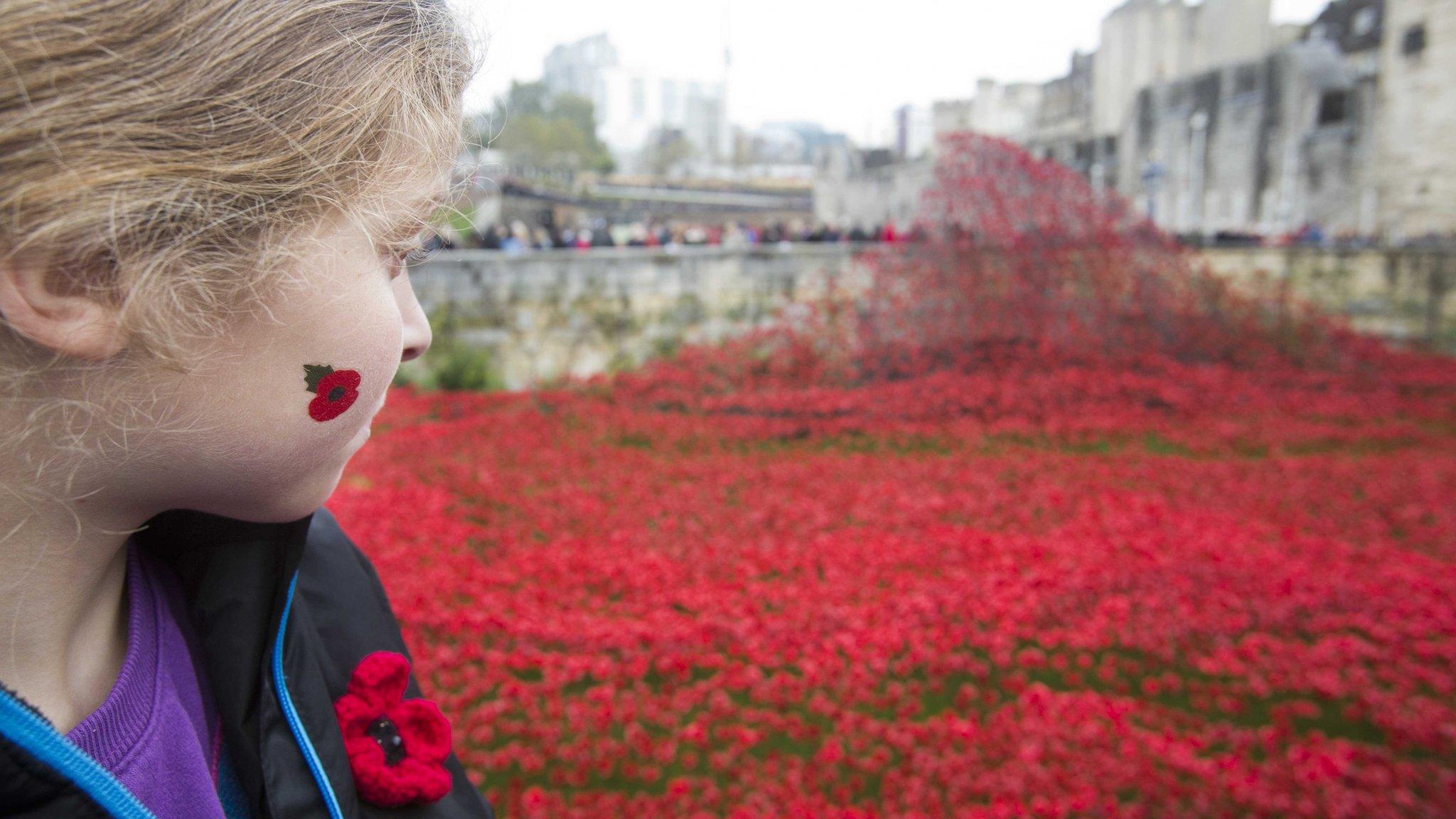 Girl looking at poppies