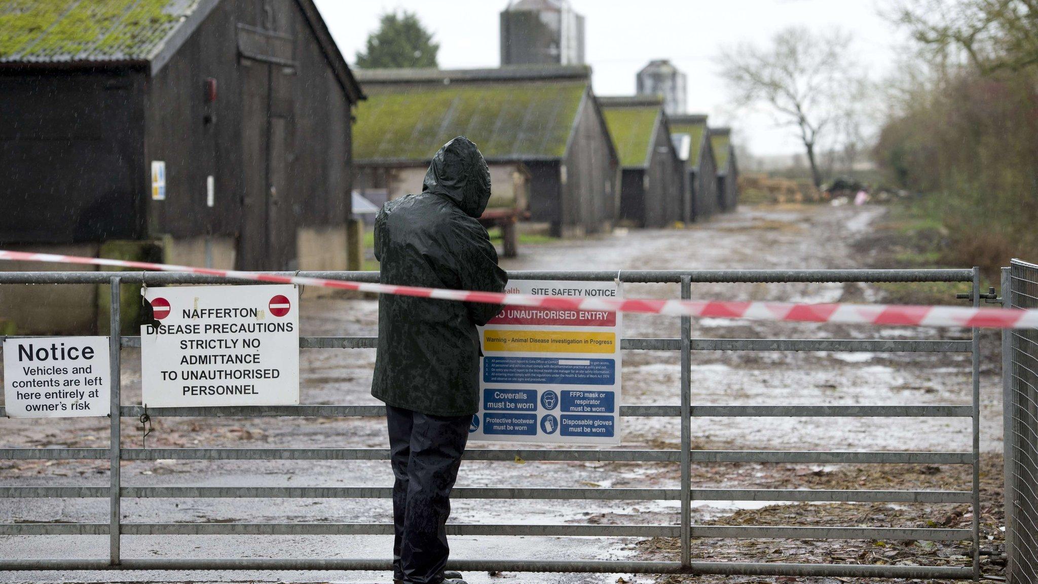 Sign attached at the entrance to farm where a case of bird flu has been identified in Nafferton, East Yorkshire