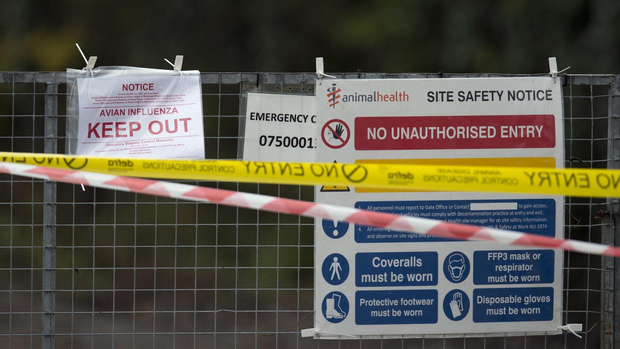 Signs are pictured attached to a gate at the entrance to a duck breeding farm where a case of bird flu has been identified in Nafferton, in Yorkshire