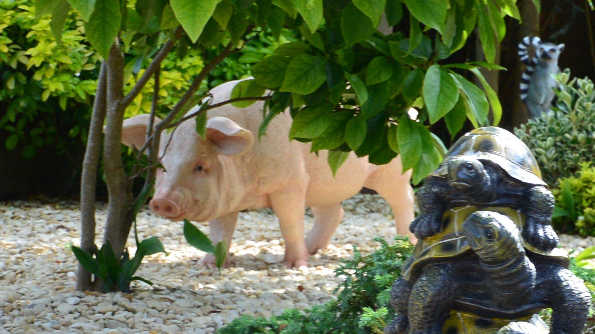 Missing fibreglass pig