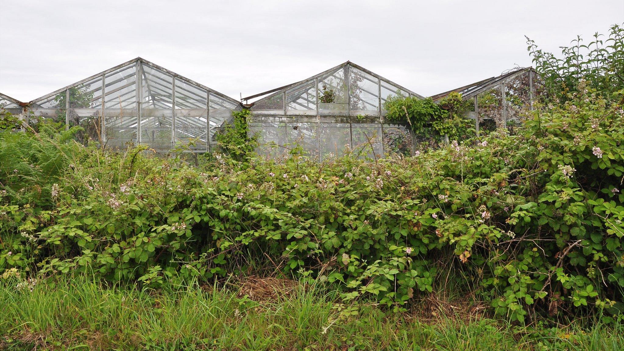 Vinery site in Guernsey