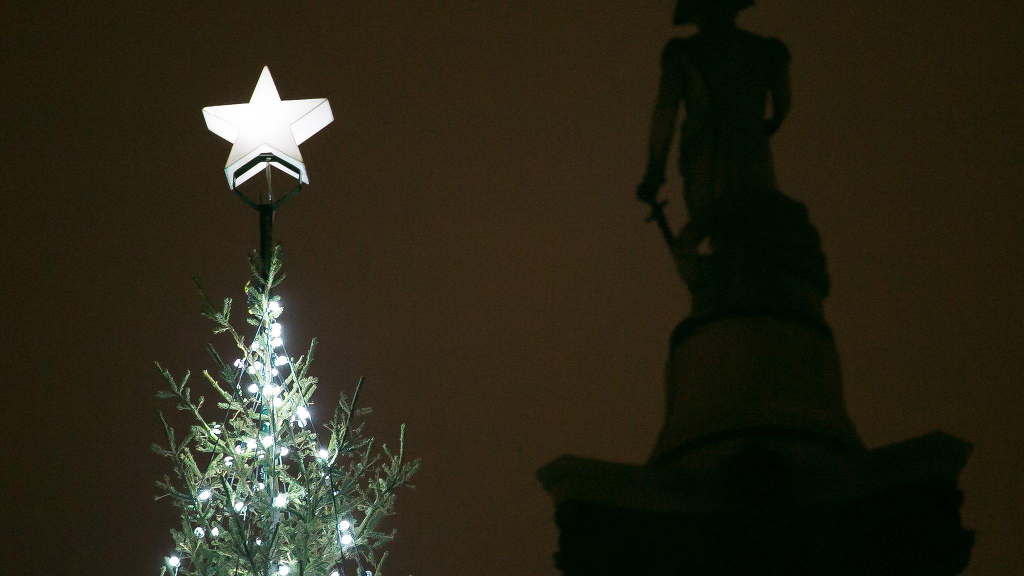 Top of the Trafalgar Square Christmas tree with a star on top