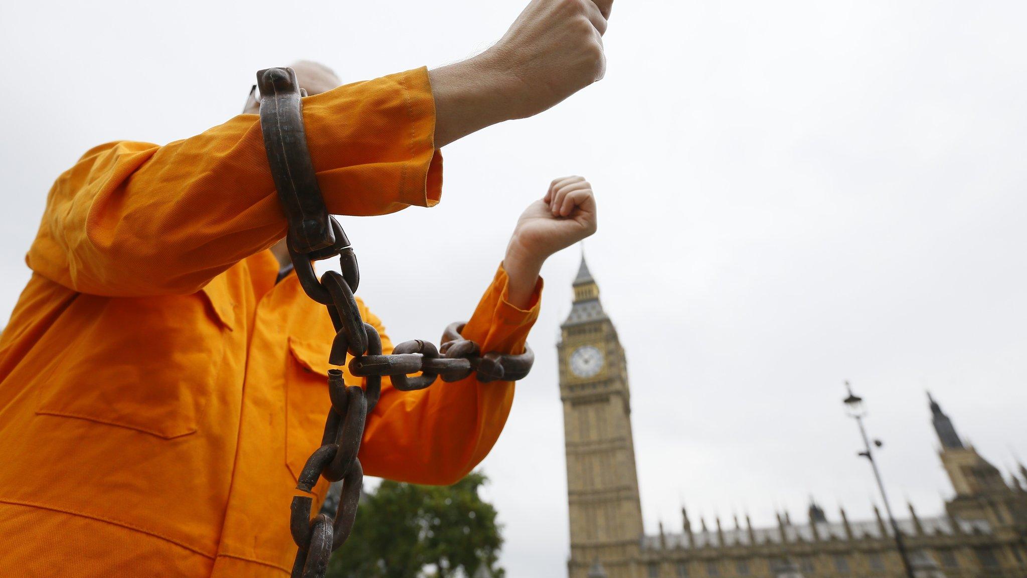 Protester outside parliament