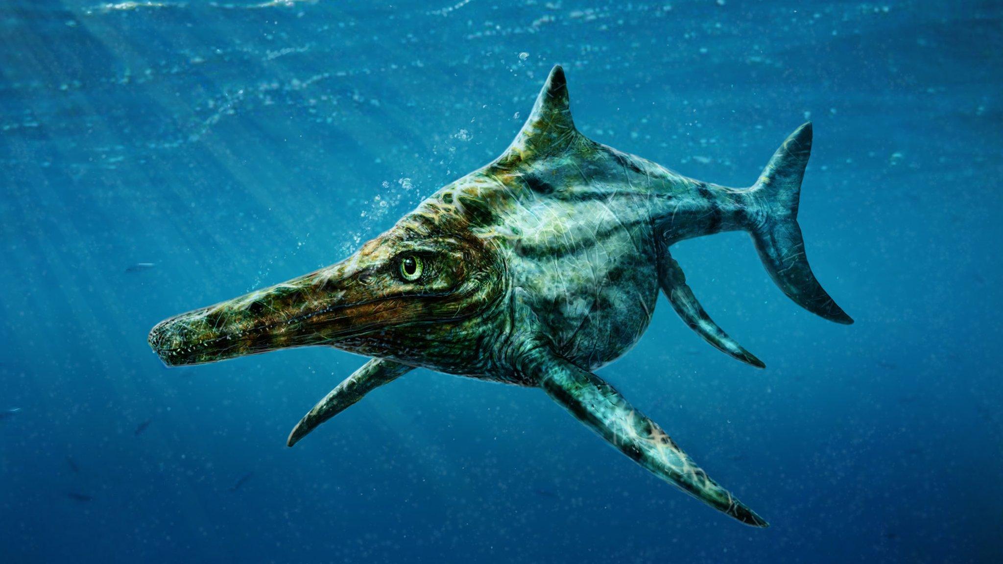 New species of marine reptile