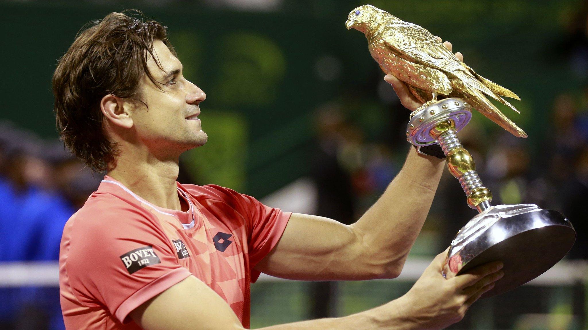 David Ferrer