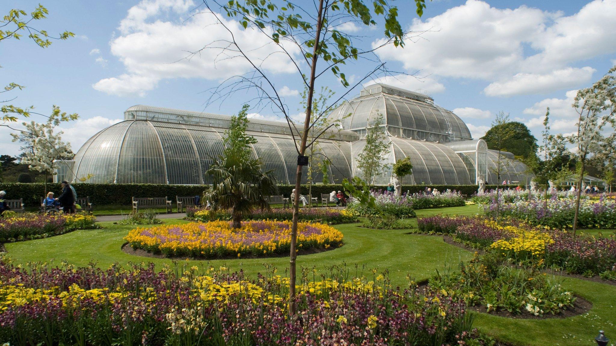 Palm House at Kew